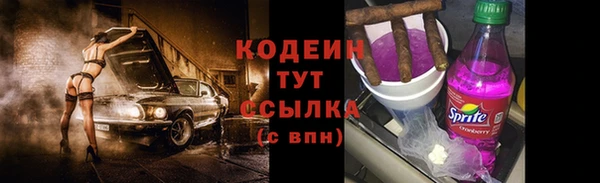 хмурый Аркадак