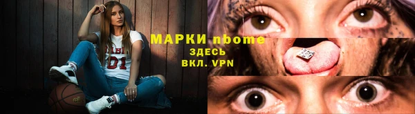 хмурый Аркадак