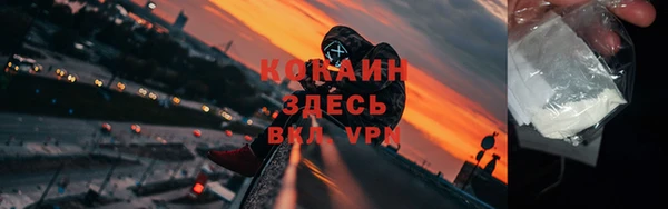 хмурый Аркадак