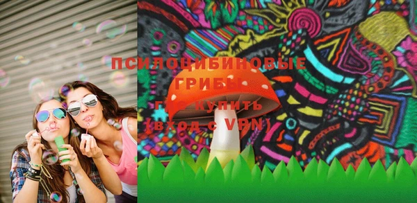 хмурый Аркадак