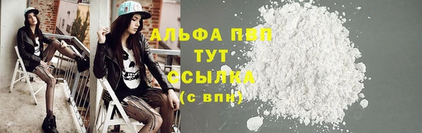 ГАЛЛЮЦИНОГЕННЫЕ ГРИБЫ Тында