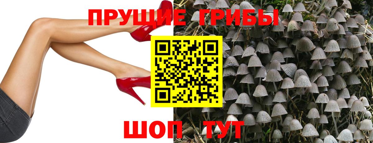 Псилоцибиновые грибы MAGIC MUSHROOMS  Галлюциногенные грибы прущие грибы  Вход с VPN  Майкоп 